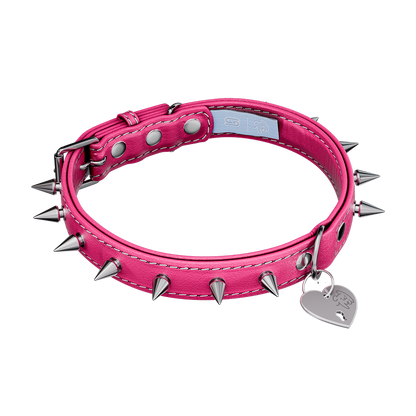Vei: Snax Spiked Dog Collar + Leash - Gamer Supps