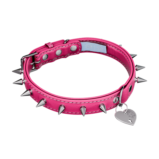 Vei: Snax Spiked Dog Collar + Leash - Gamer Supps