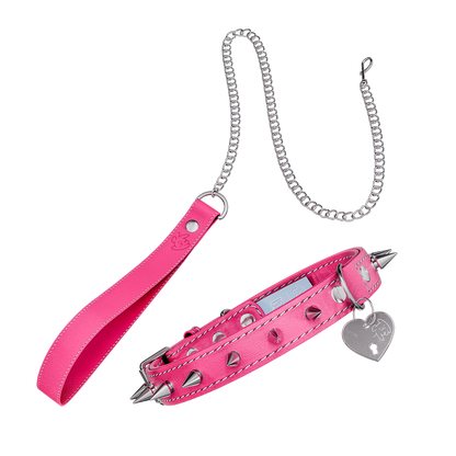 Vei: Snax Spiked Dog Collar + Leash - Gamer Supps