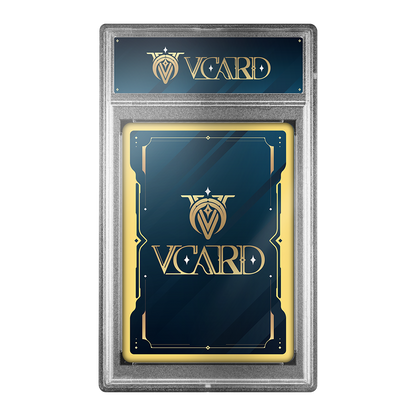 Vcard Promo Slab - Gamer Supps
