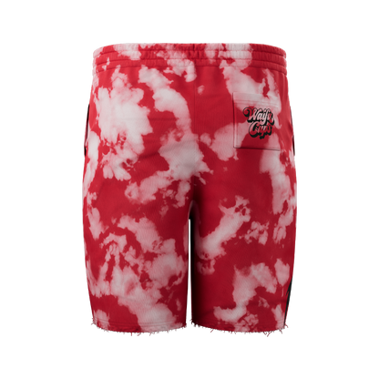 Backside of Succubus Shorts showing back pocket with the Waifu Cups logo printed on